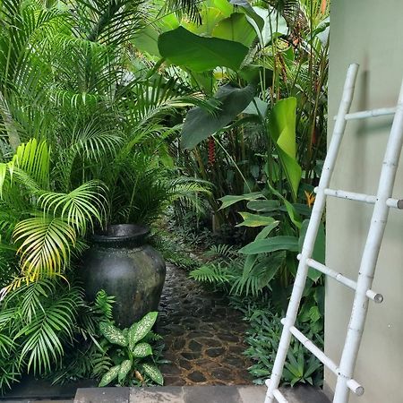 Villa Jati Lovina Esterno foto