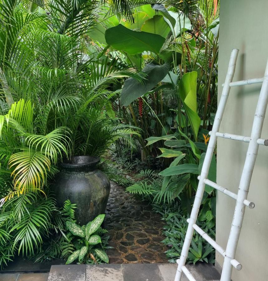 Villa Jati Lovina Esterno foto