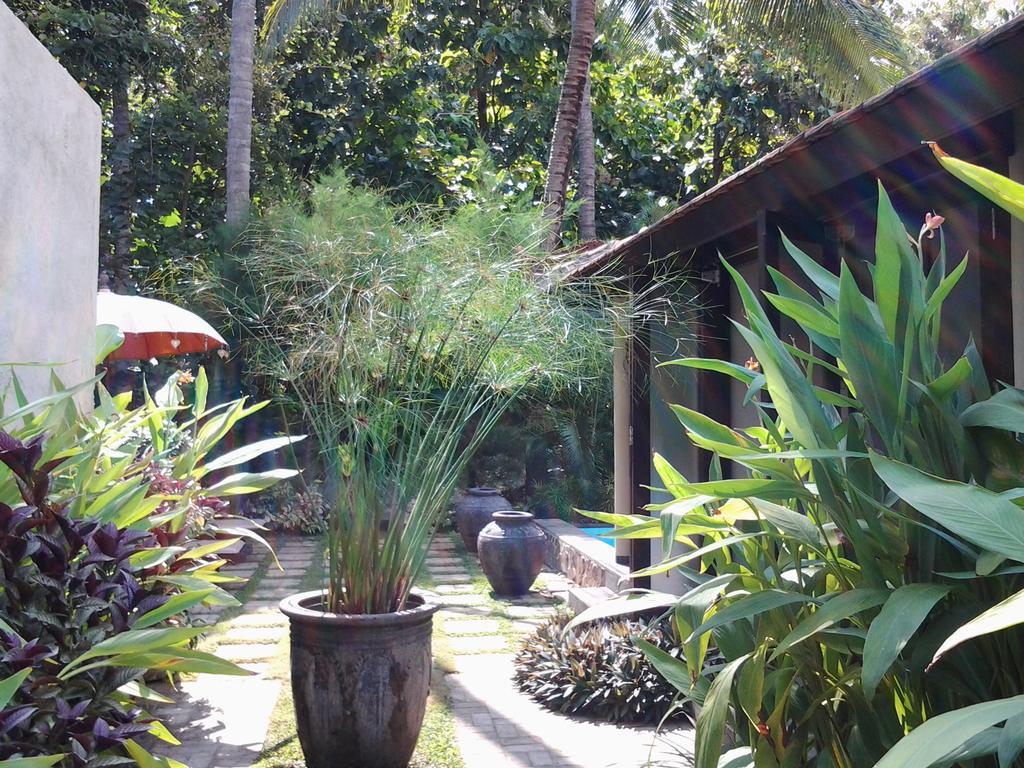 Villa Jati Lovina Esterno foto